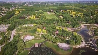 无人机航拍城镇公园绿化视频素材视频的预览图